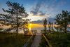 Wooden walkway leading to water with trees on each side.