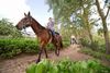 Horseback Safari at Forever Florida