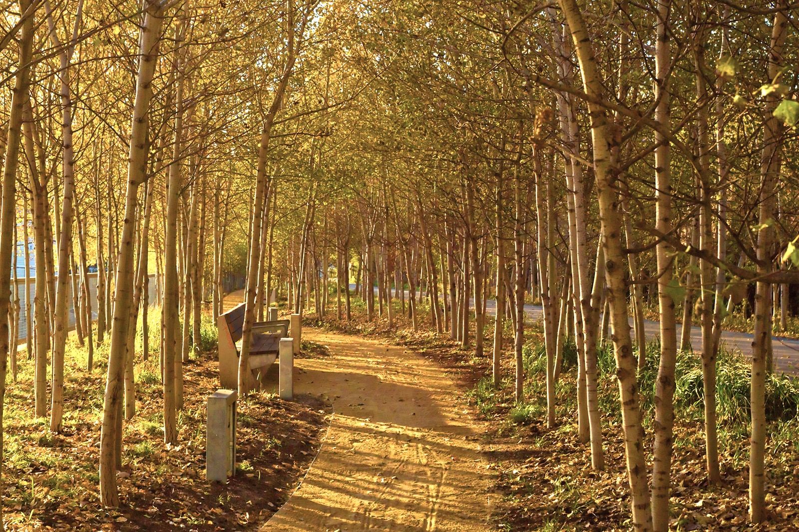 Best Hiking Trails Around Chicago