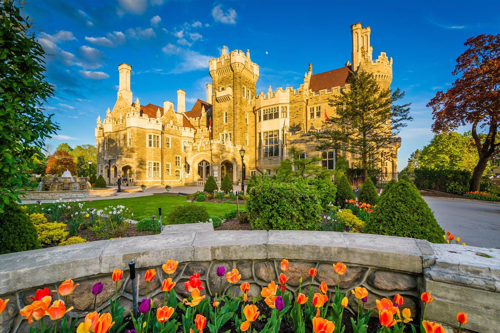 Things to Do in Toronto