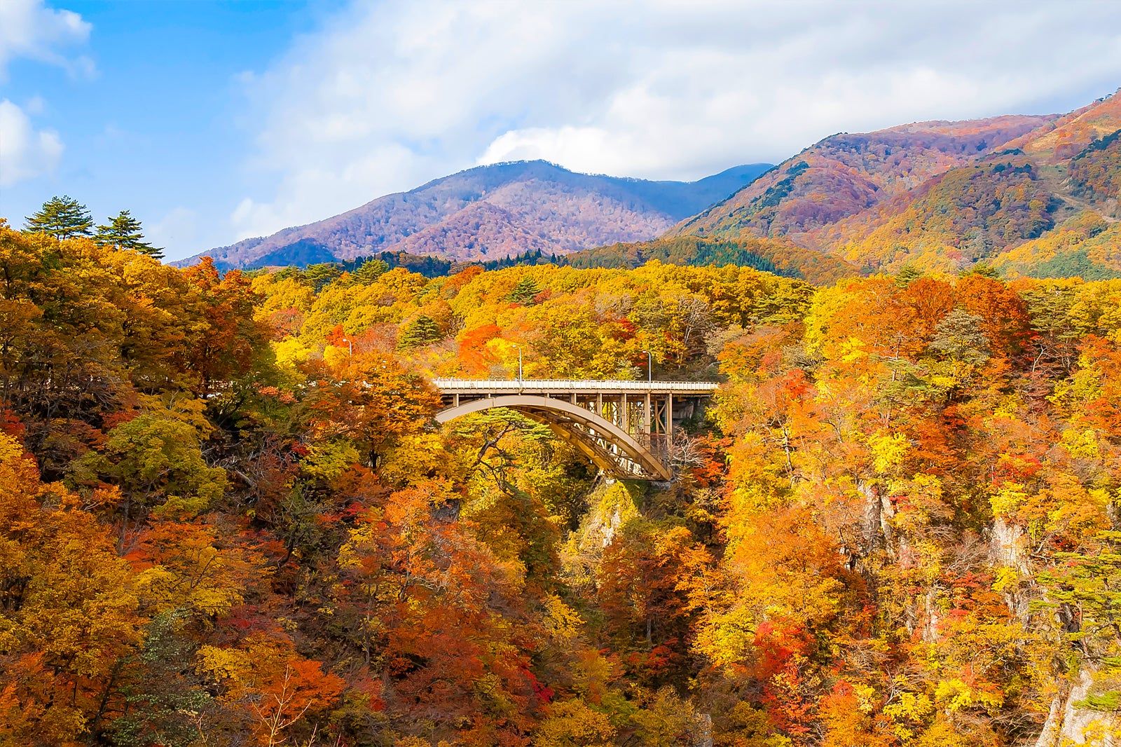 10 Best Natural Wonders in Sendai