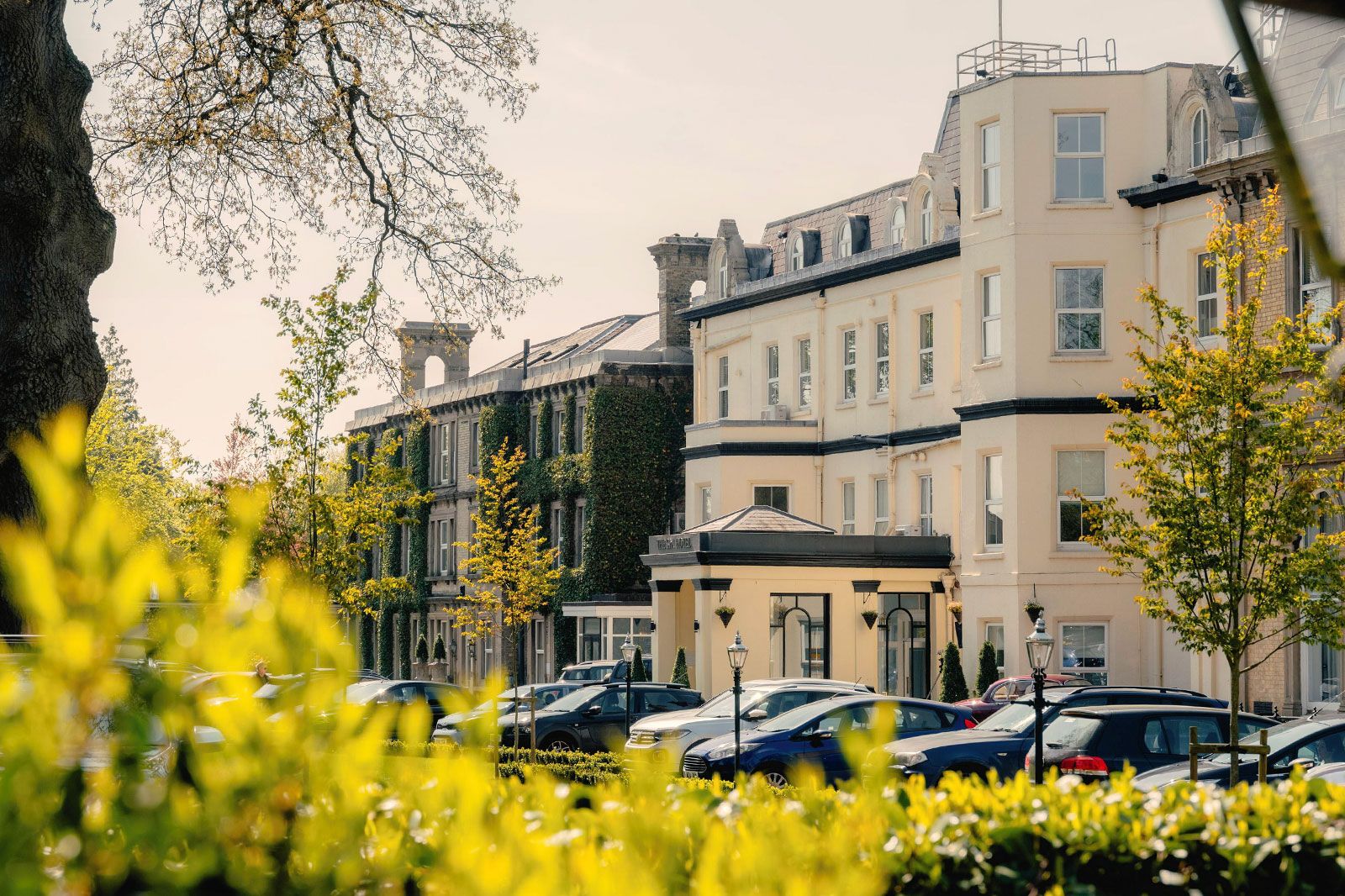 Buildings in a row in a town street.