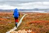 King's Trail (Kungsleden)