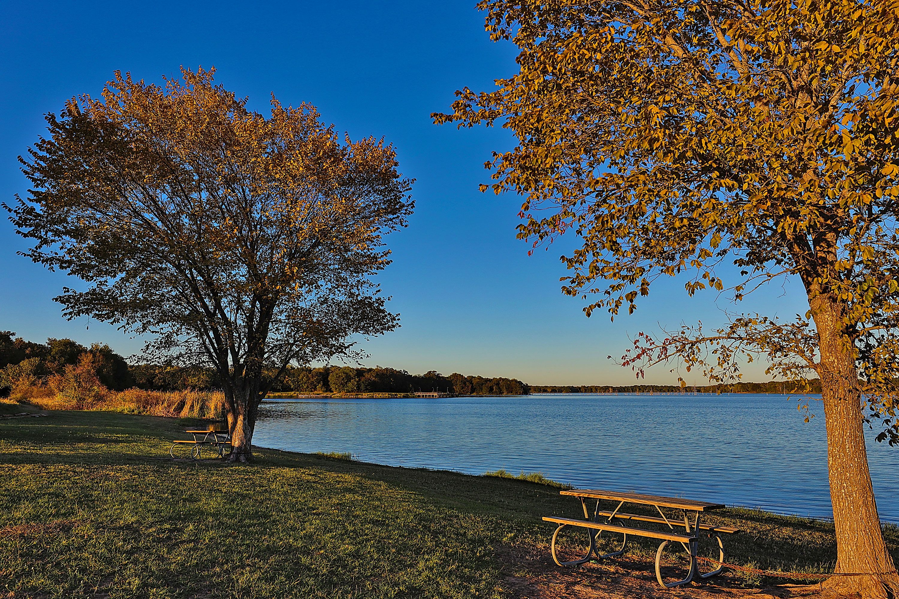 View from the picnic area at Purtis Creek State Park, Texas.