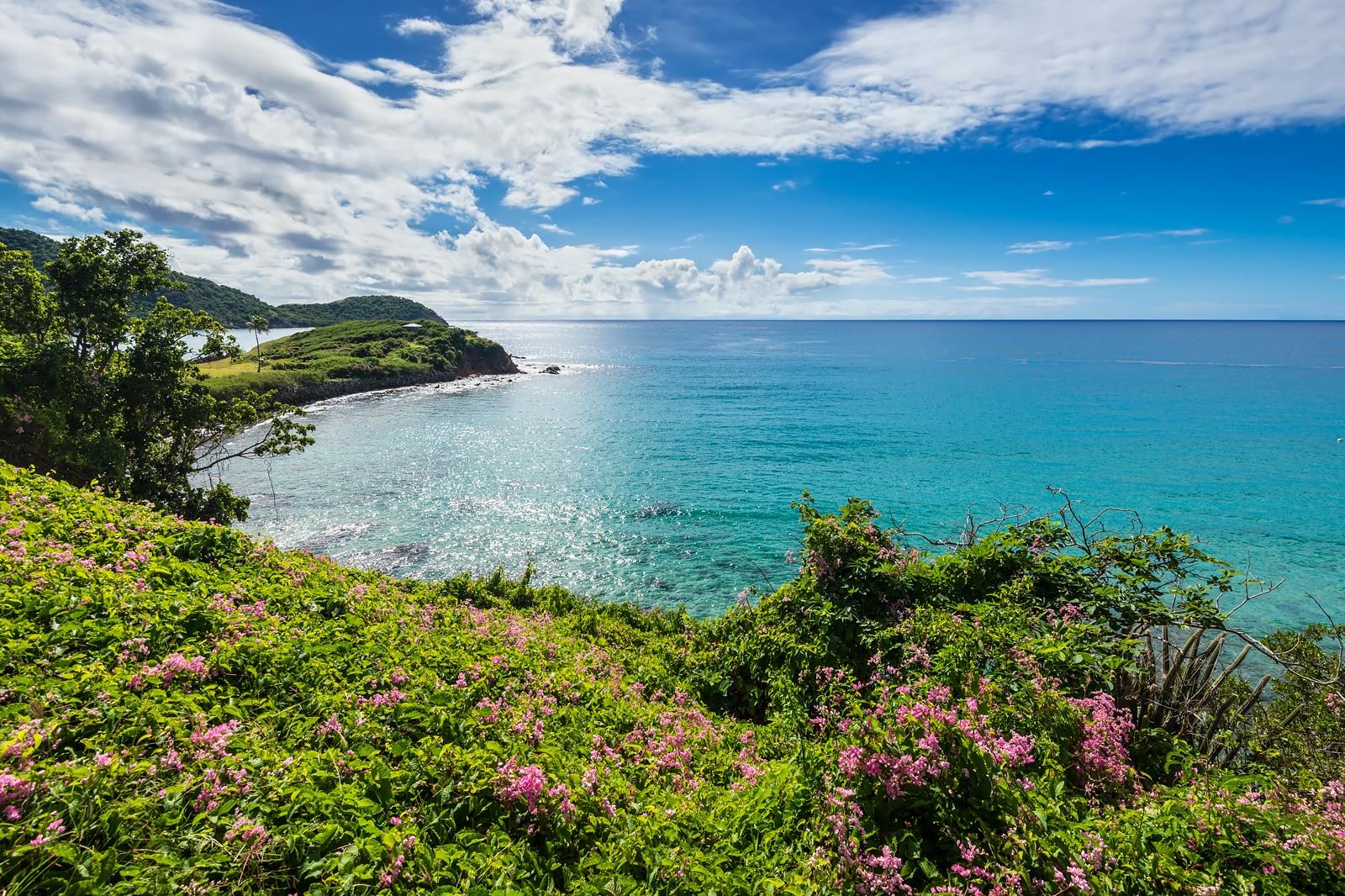 Best Places to Explore in Barbuda