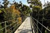 Spruce Street Suspension Bridge in San Diego