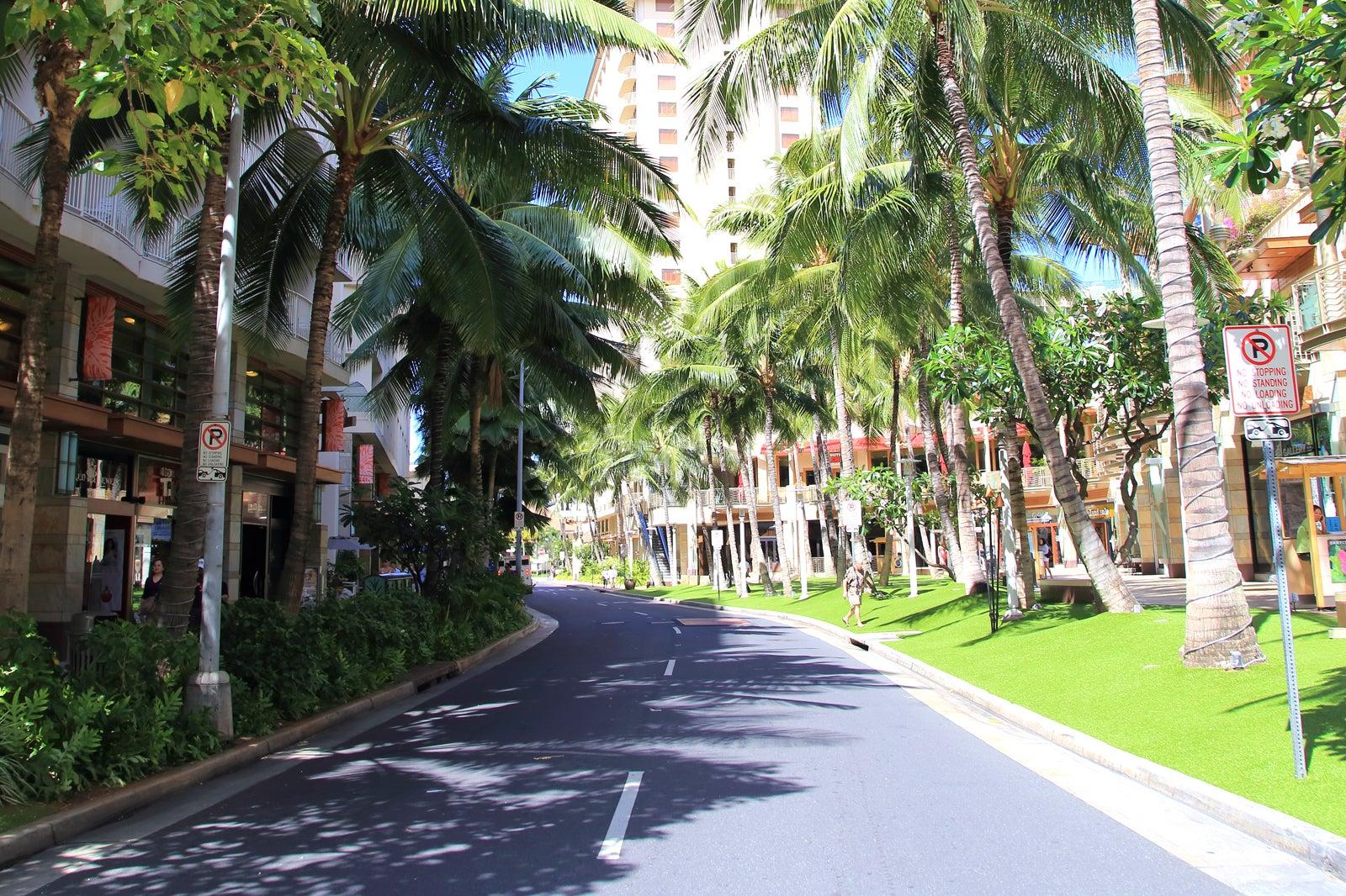 Shopping Streets, Malls, and Local Markets in Oahu