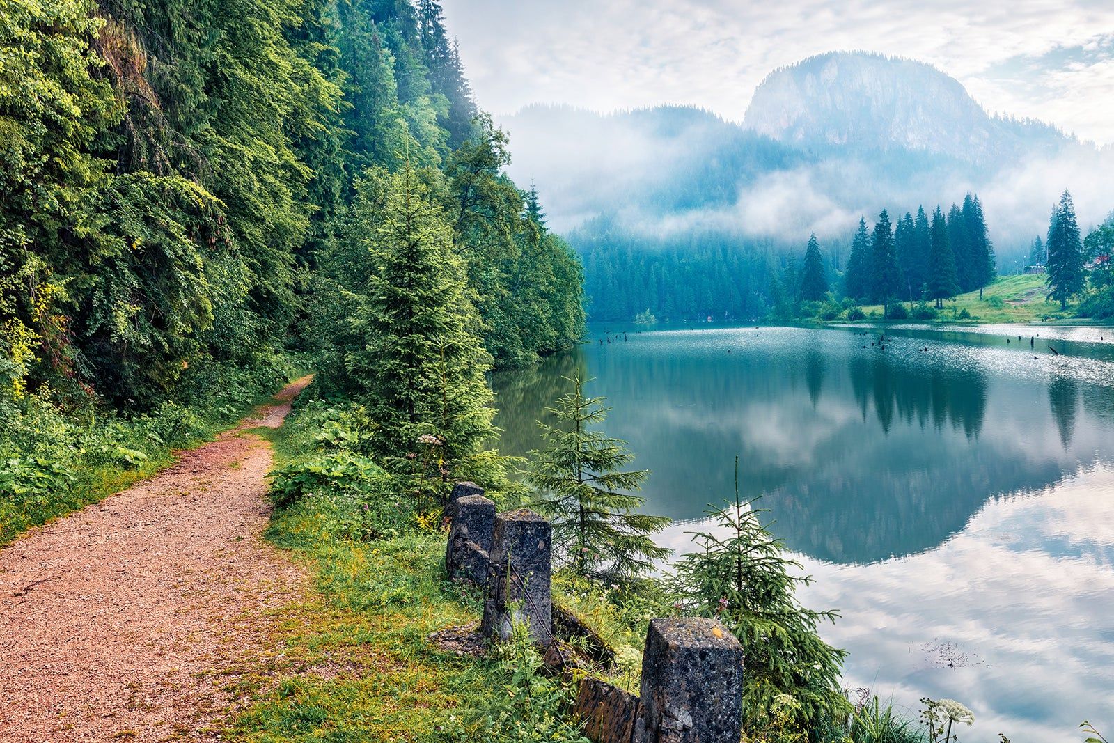 Nature Travel Secrets for Scenic Trips Nature Travel Secrets for Scenic Trips