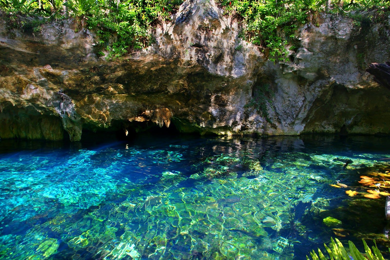 Gran Cenote in Tulum