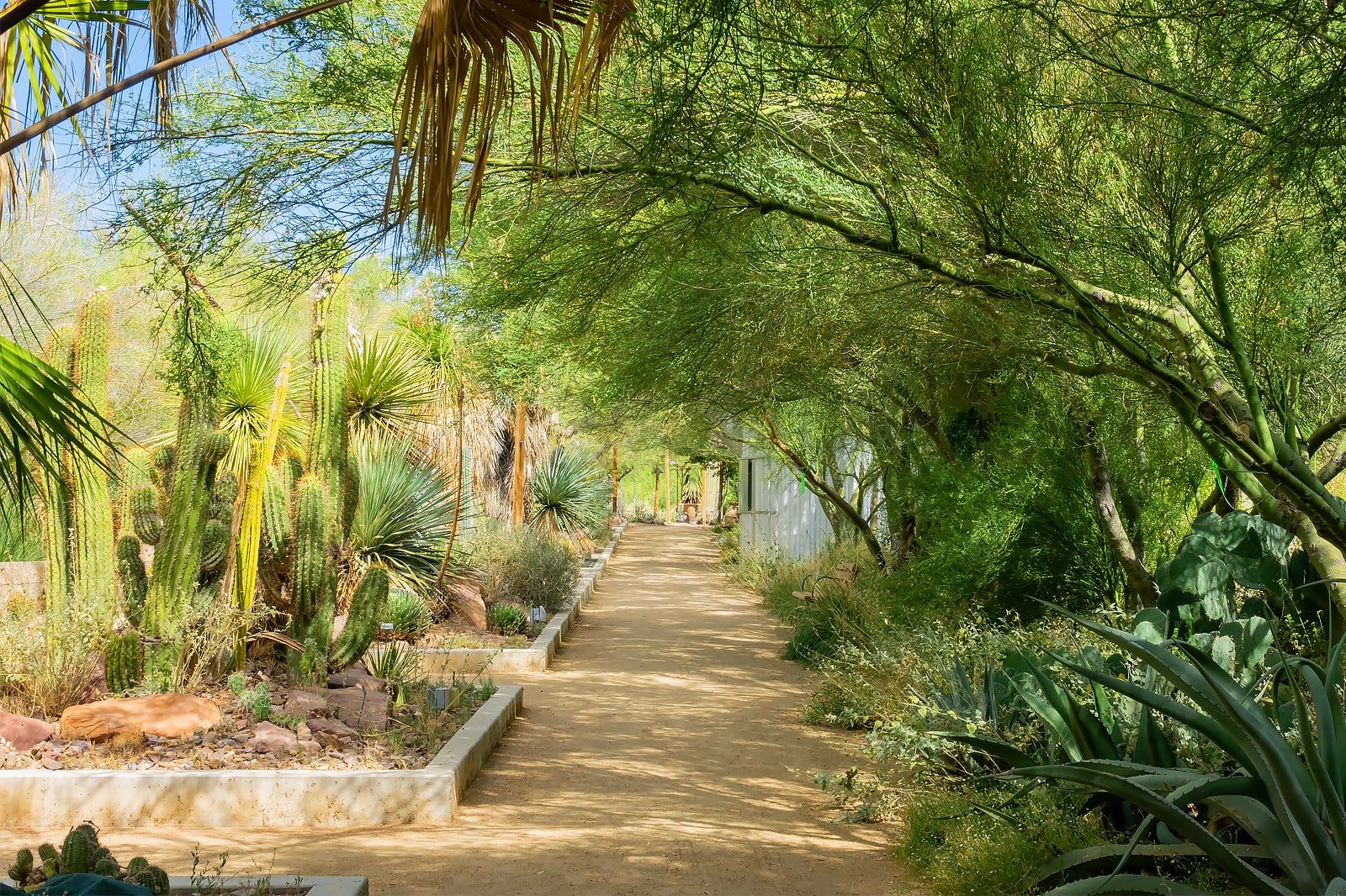 Springs Preserve in Las Vegas