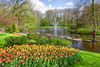 Best Natural Sights around Amsterdam