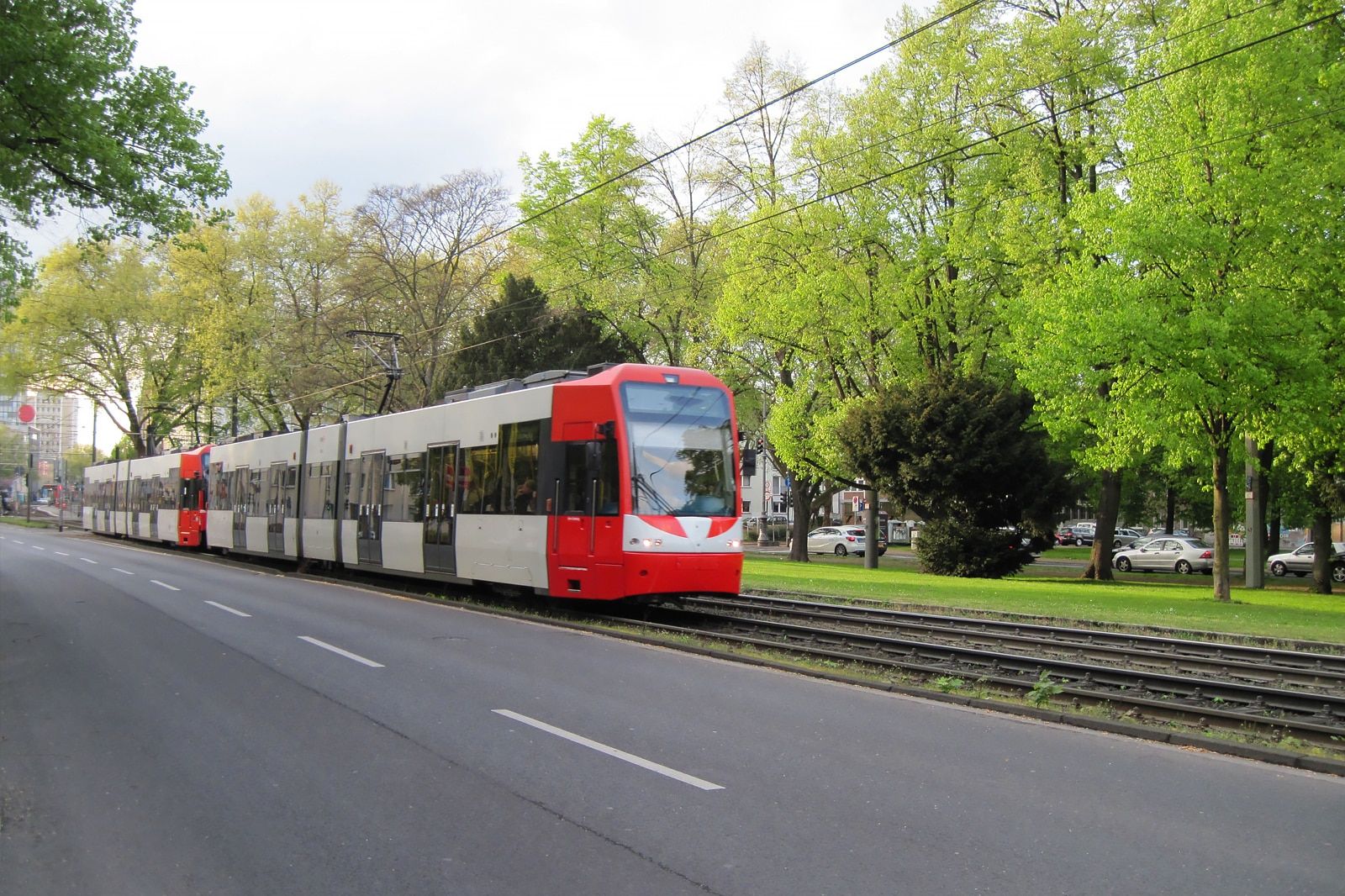 Cologne Travel Essentials