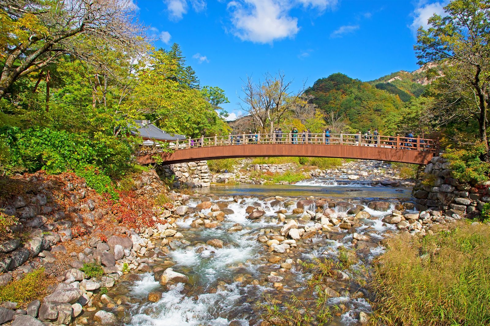 Best Road Trips Near Gangneung