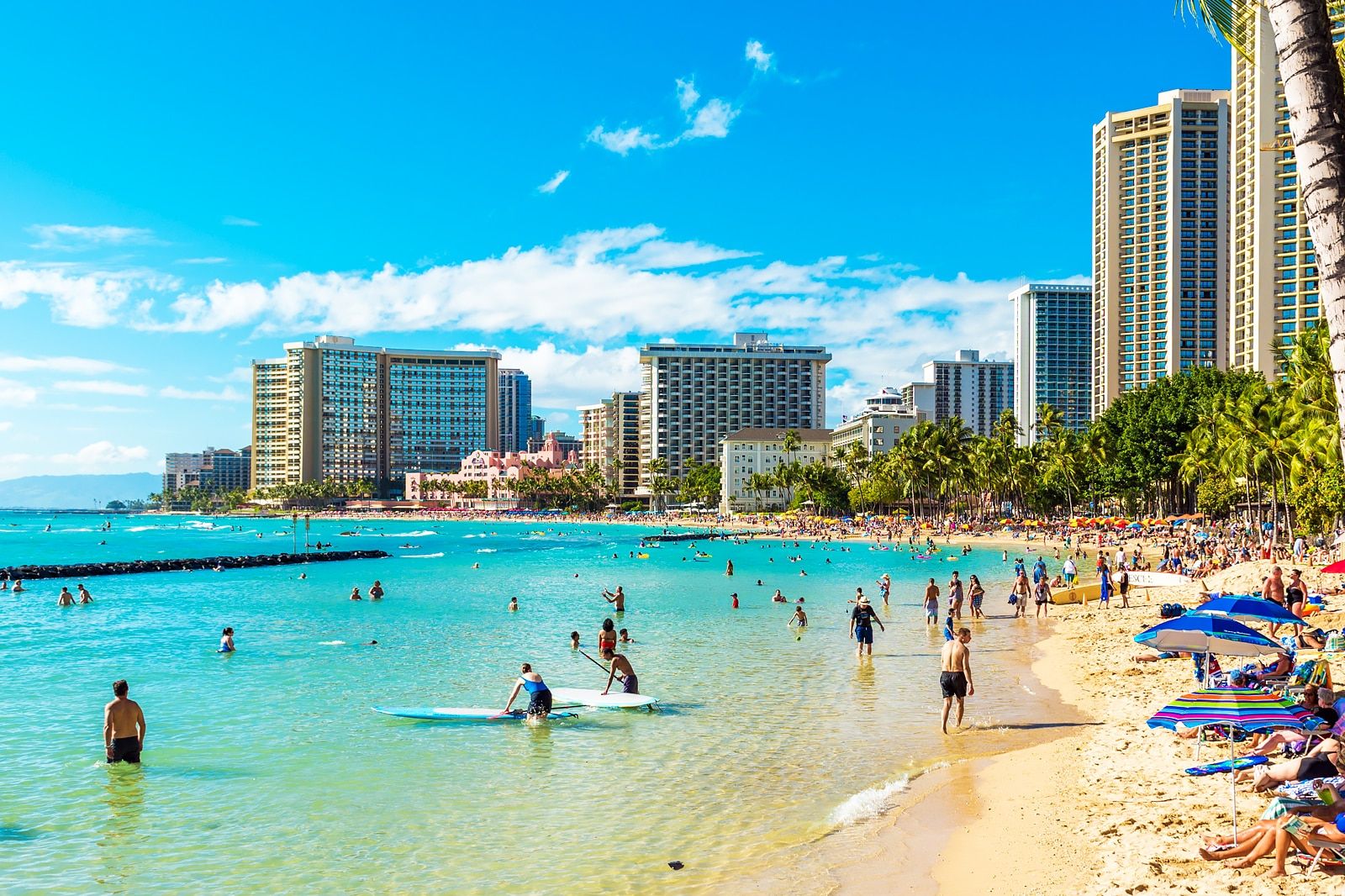 Best Free Things to Do in Honolulu