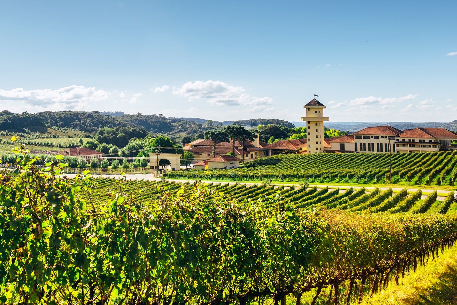 melhores destinos para explorar o inverno no Brasil 