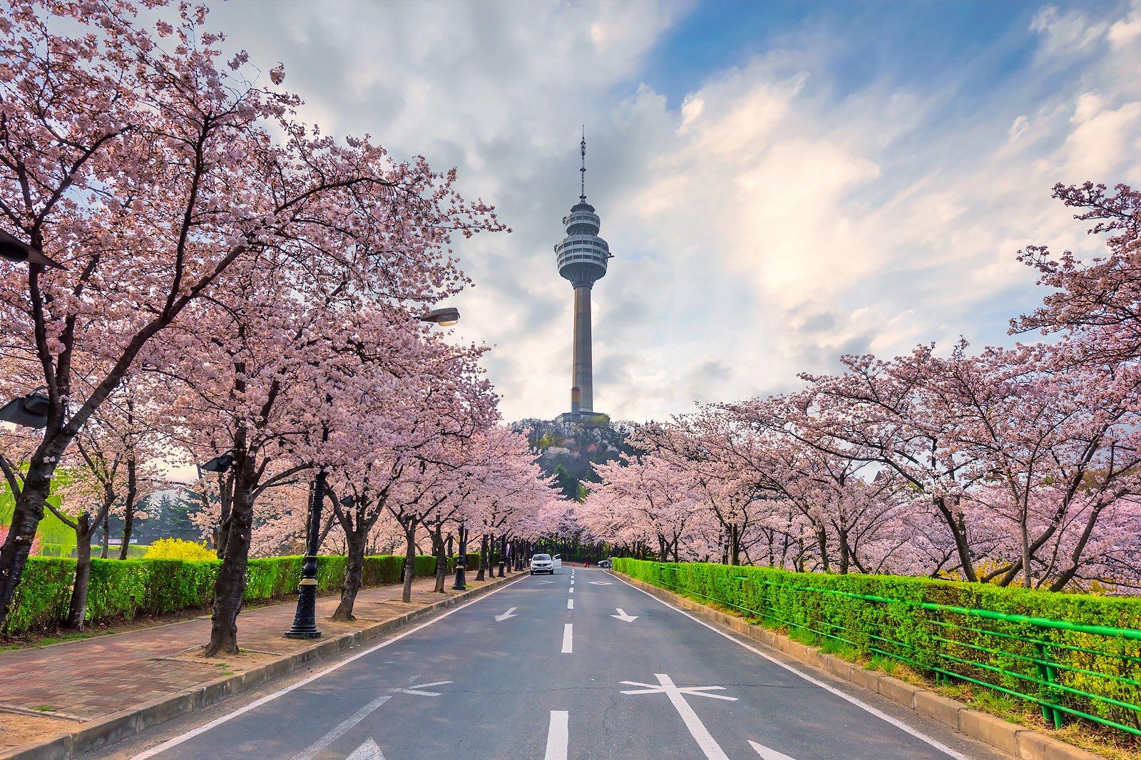Daegu in South Korea