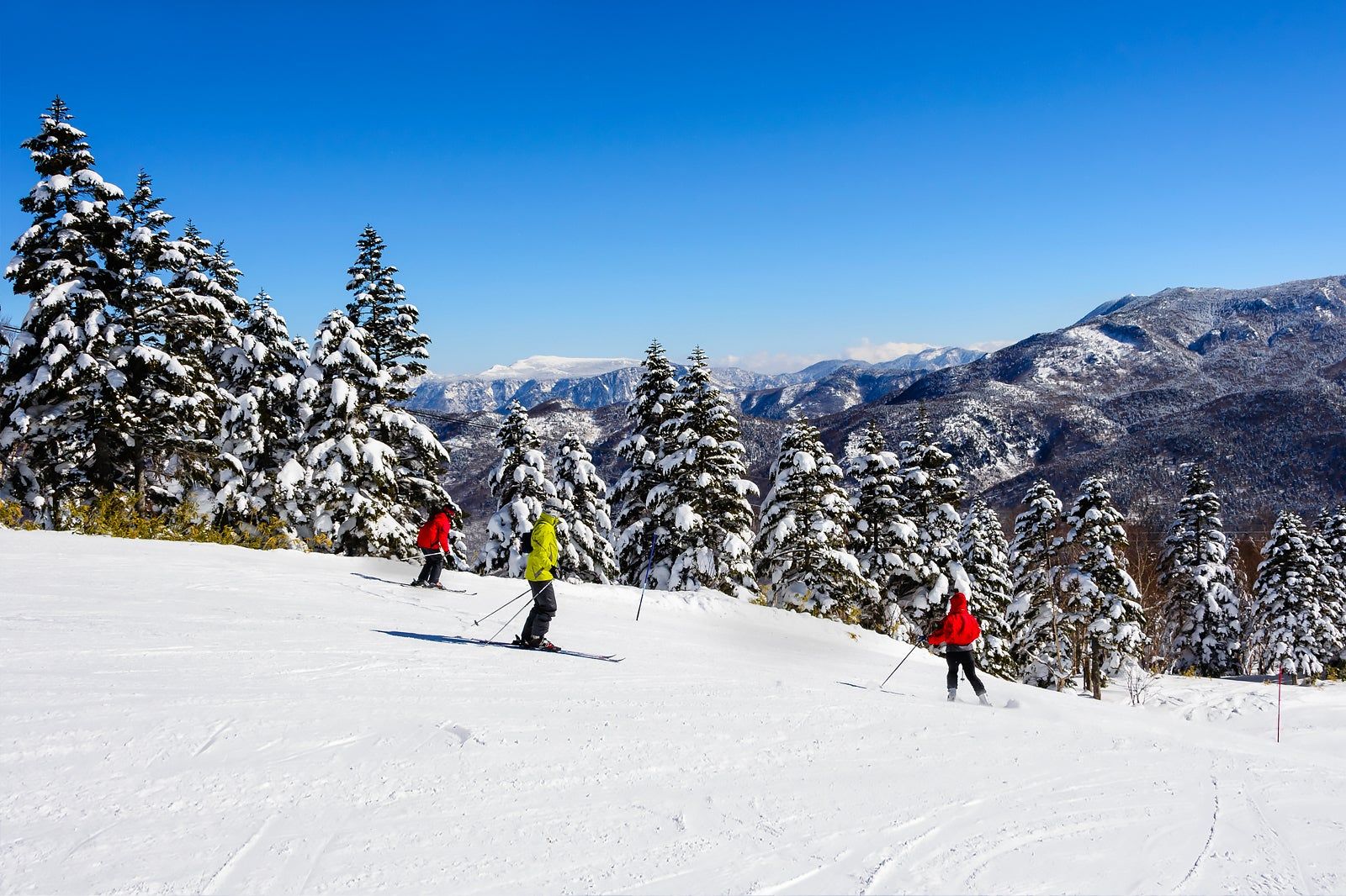 Best Ski Resorts in Nagano