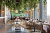 A dining seating area with plants and lights.