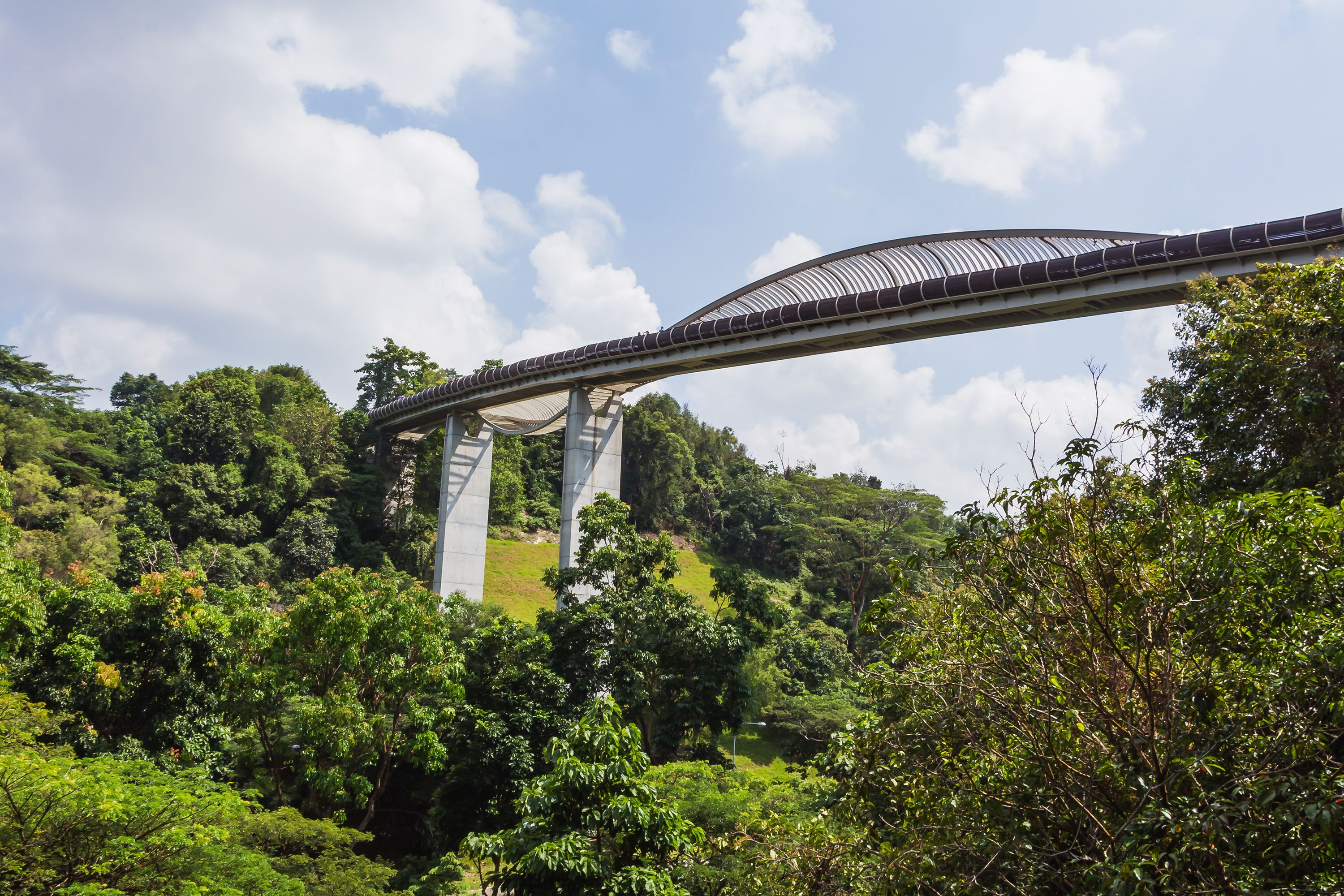 The Henderson Waves bridge in Singapore.