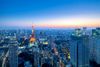 Best Rooftop Bars in Tokyo