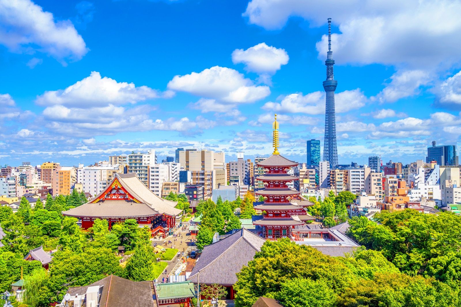 Best Things to Do in Tokyo