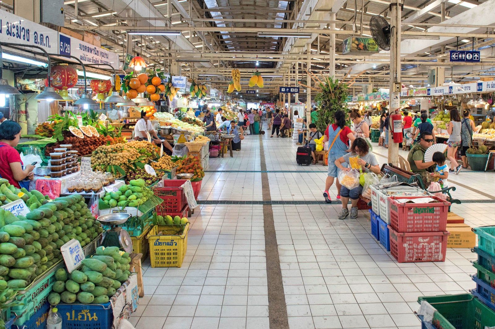 Or Tor Kor Market in Bangkok