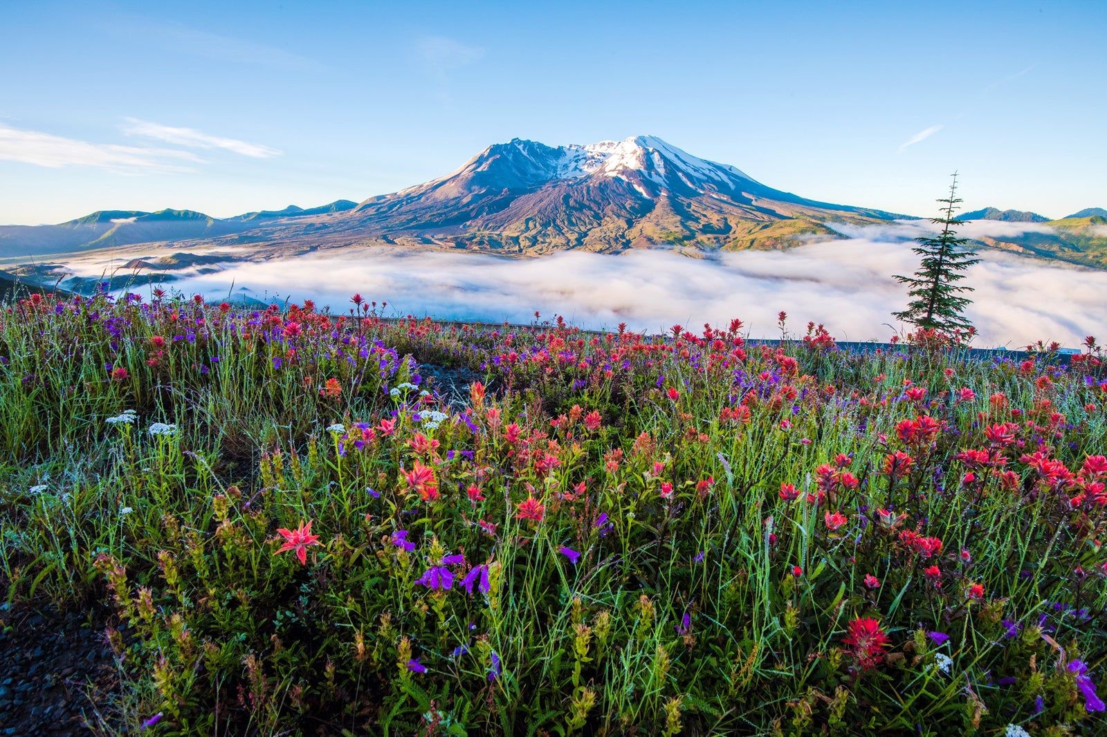 Best Things to Do in Washington State