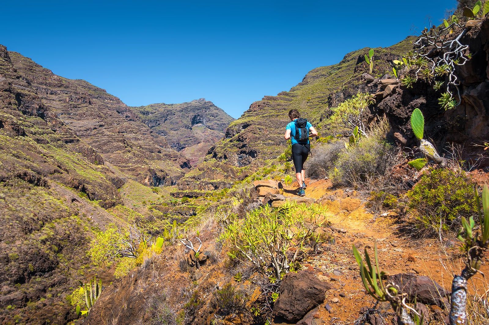 Best Hiking Trails in the Canary Islands