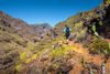 Best Hiking Trails in the Canary Islands