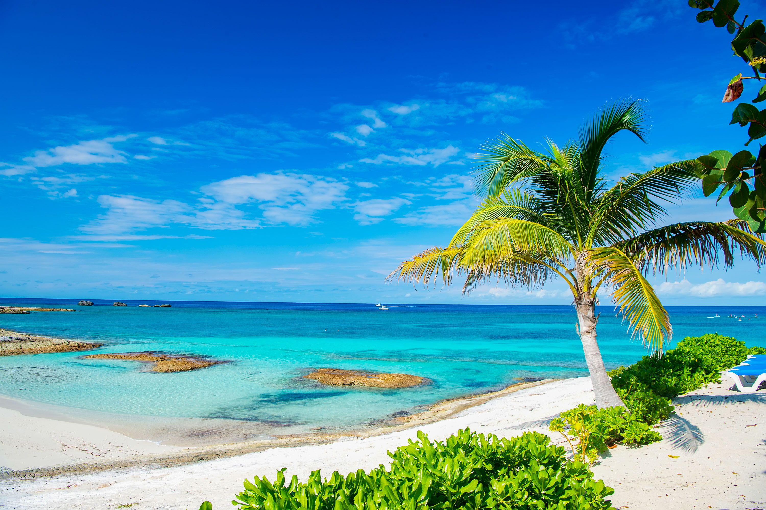 A palm tree on beach looks out over rocks and blue waters with hazy clouds.
