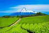 Shizuoka, Japan