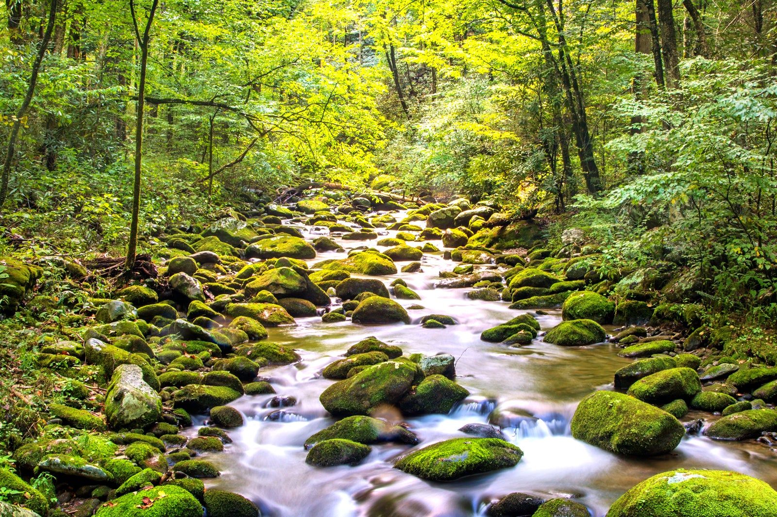 Best Natural Wonders in Tennessee