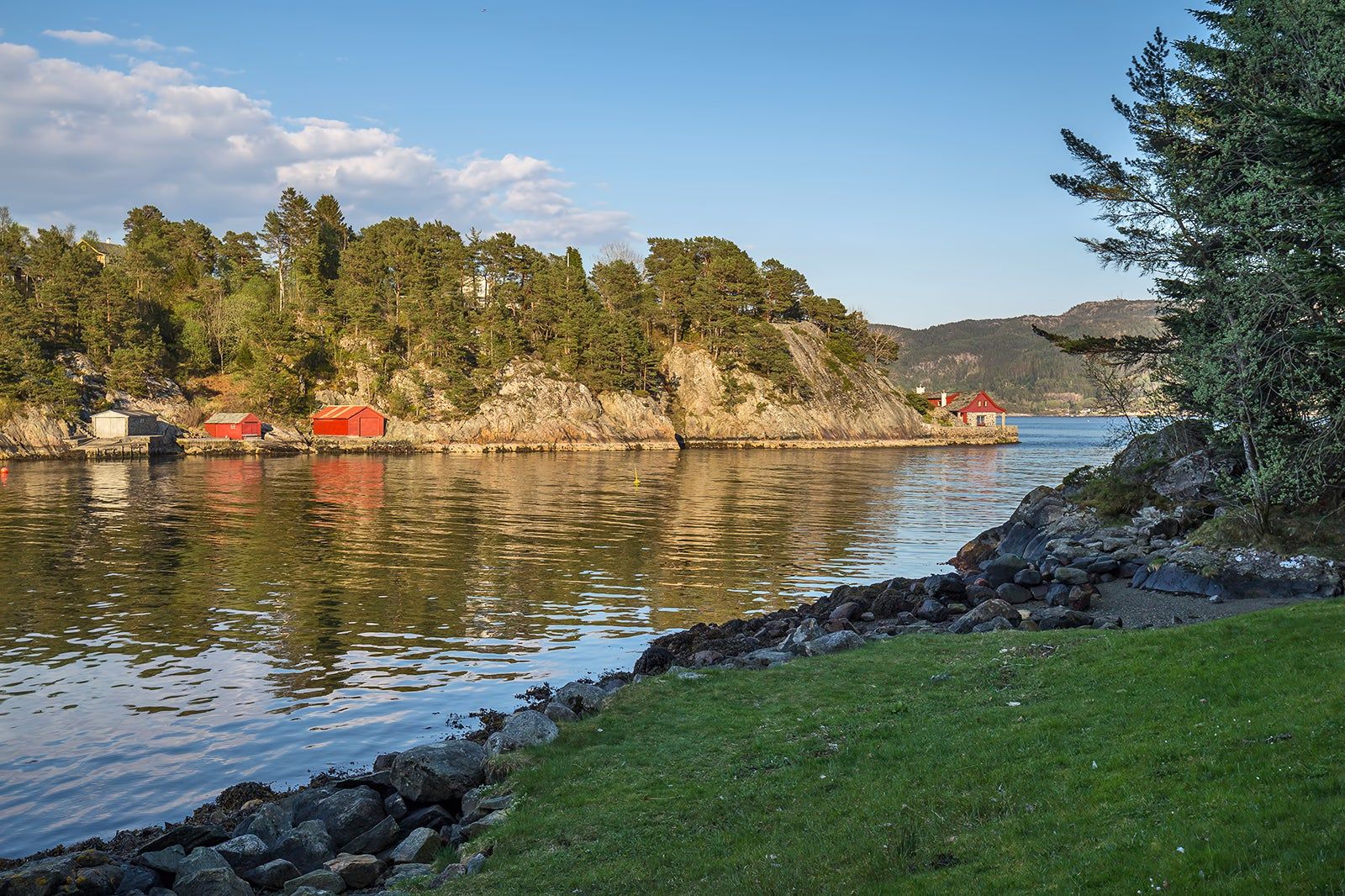 Grønevika ved Bergen