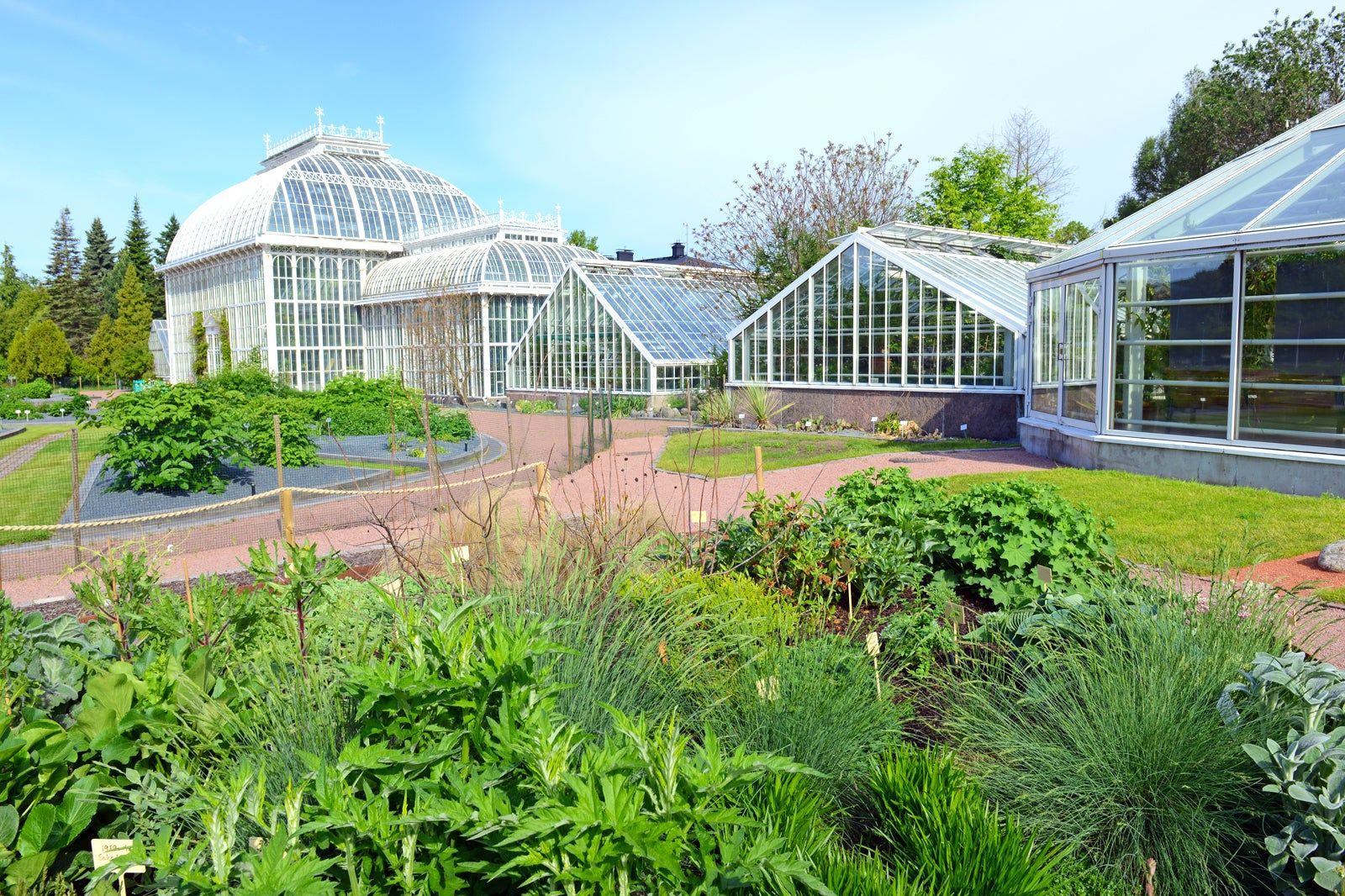 Kaisaniemen kasvitieteellinen puutarha