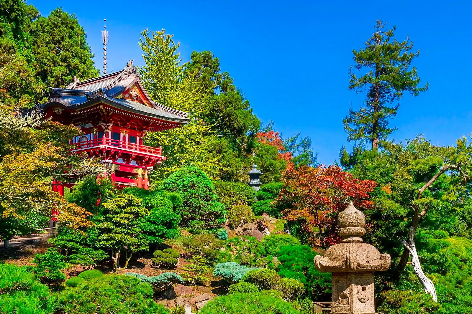 Best Parks in San Francisco