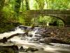 A stone bridge over a river waterfall in the forest.