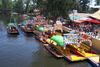 Things to Do with Your Family in Mexico City