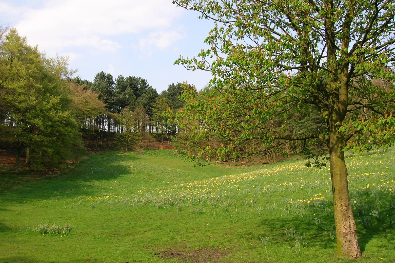 Tandle Hill in Manchester