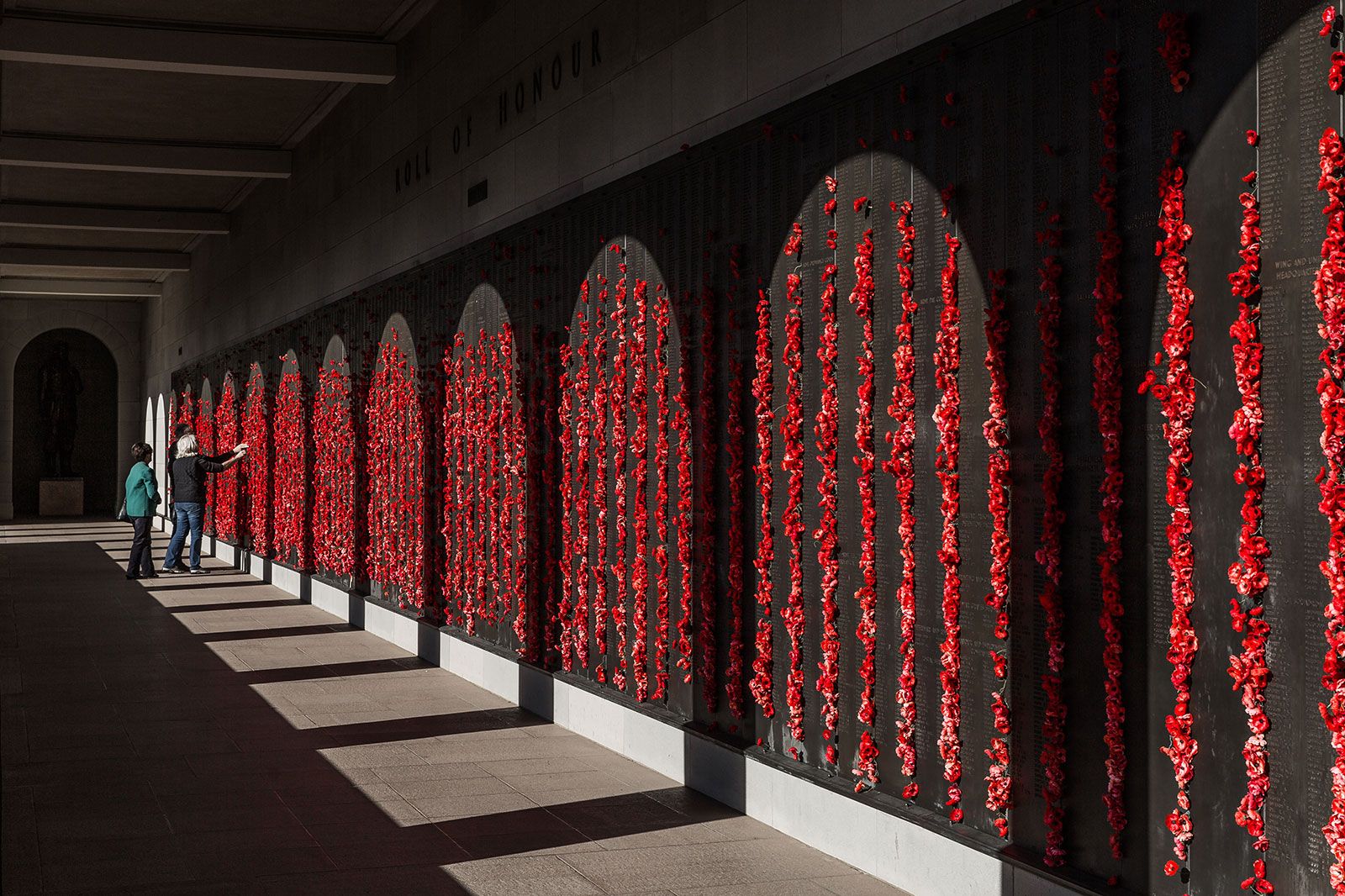 An evening view from Mount Ainslie.