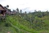photo by <a href="https://commons.wikimedia.org/wiki/File:1_Tegalalang_rice_terrace_ubud_bali.jpg" target="_blank" rel="noreferrer">chensiyuan</a>