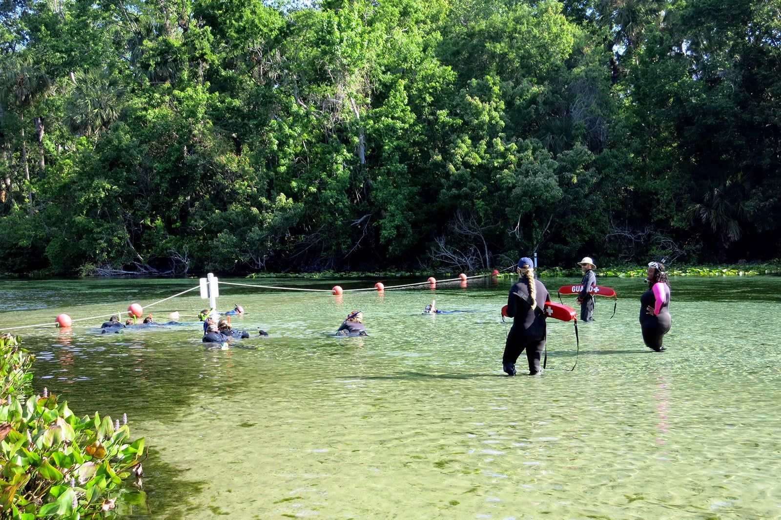 Ocala National Forest Orlando