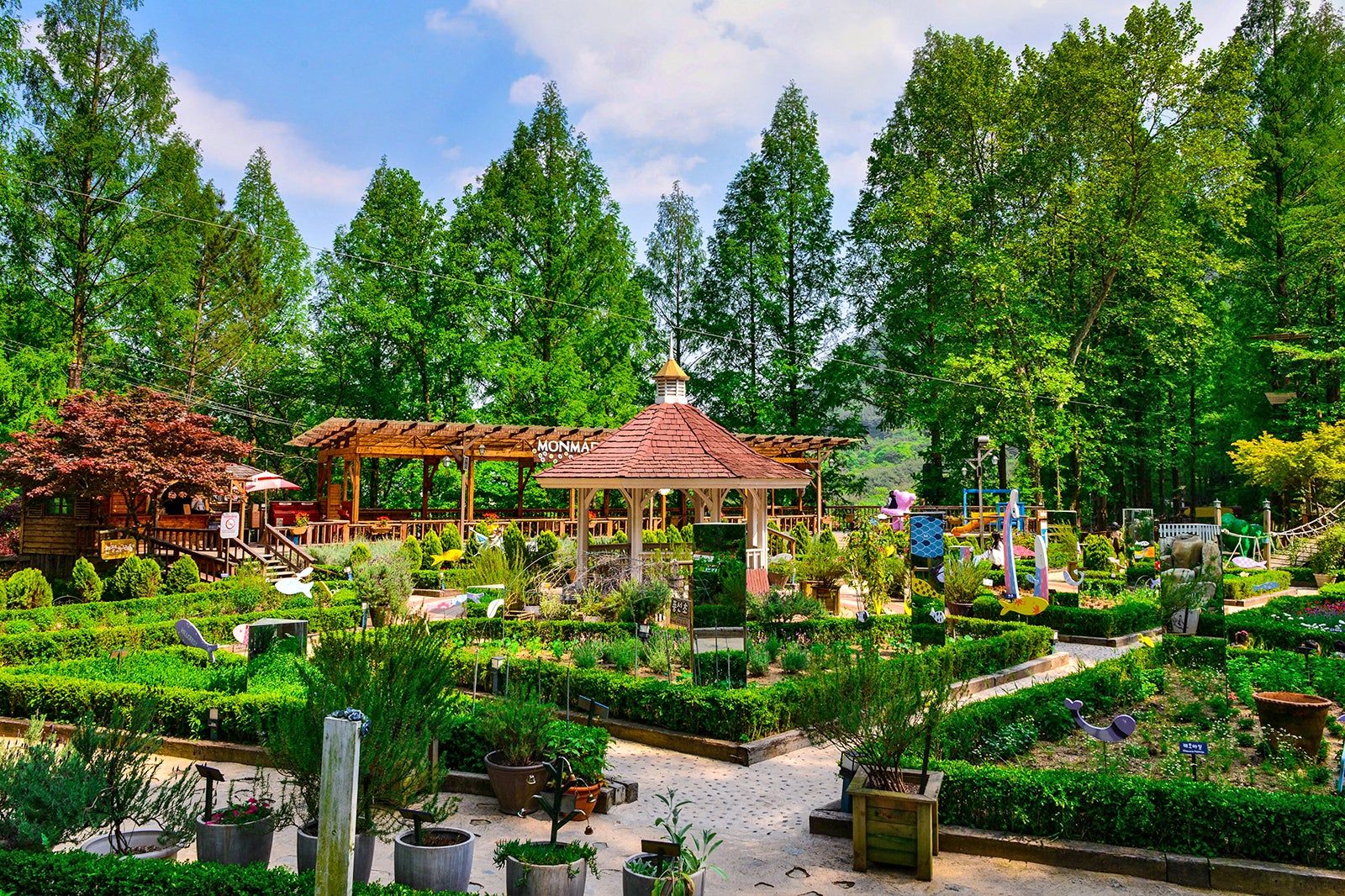 Best Family Spots in Daegu