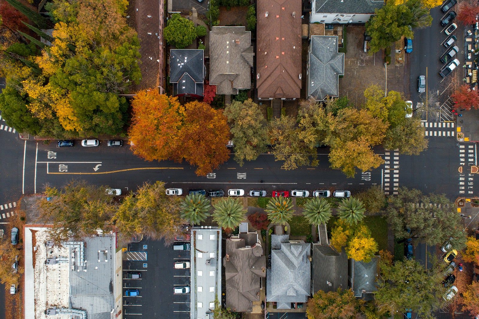 Sacramento Travel Essentials