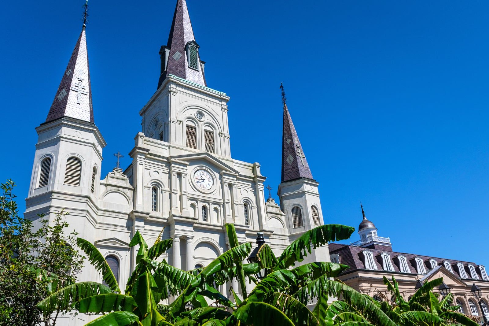 St. Louis Cathedral in New Orleans