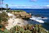 photo by <a href="https://www.flickr.com/photos/kenlund/5142158342/in/photostream/" target="_blank" rel="noreferrer">Ken Lund</a> (<a href="https://creativecommons.org/licenses/by-sa/2.0/" target="_blank" rel="noreferrer">CC BY-SA 2.0</a>)  modified