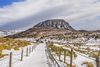 Best Things to Do This Winter on Jeju Island