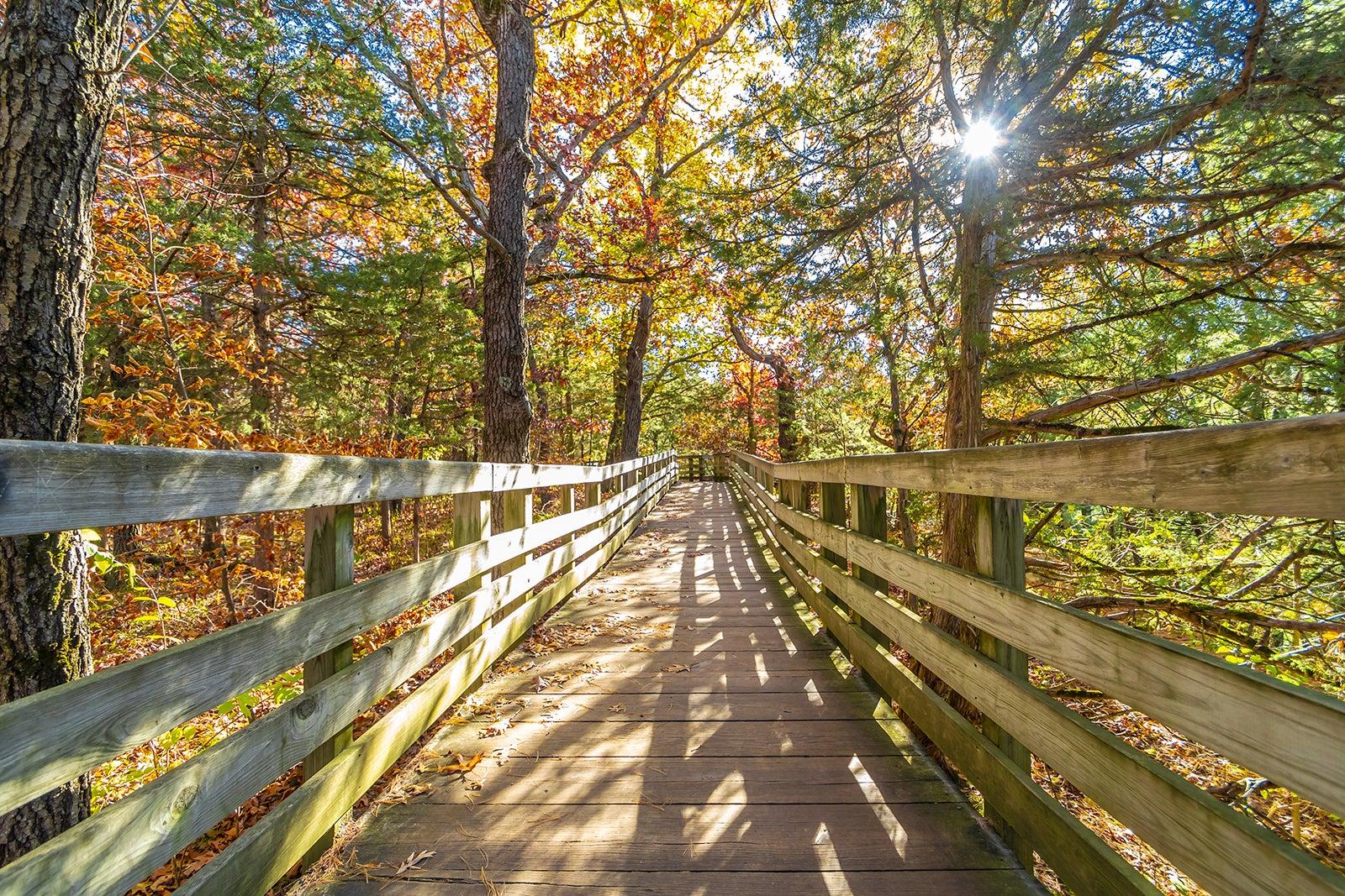 Starved Rock State Park in Chicago