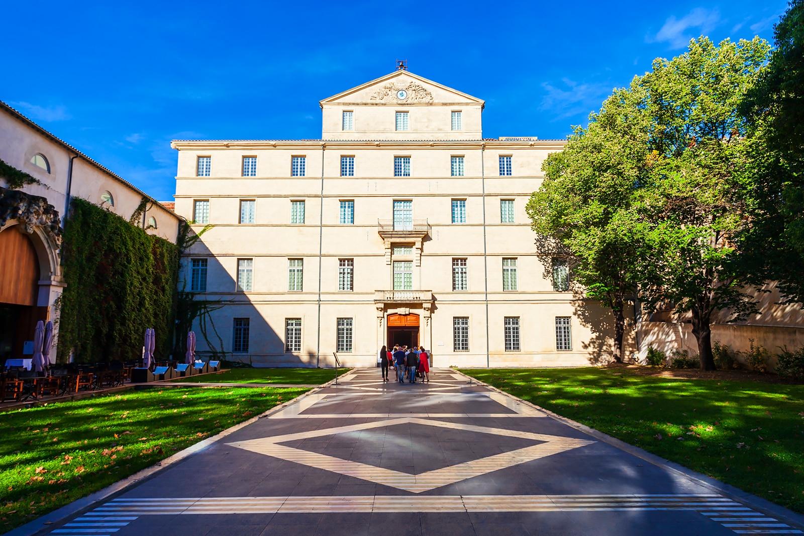 Best Family Things to Do in Montpellier