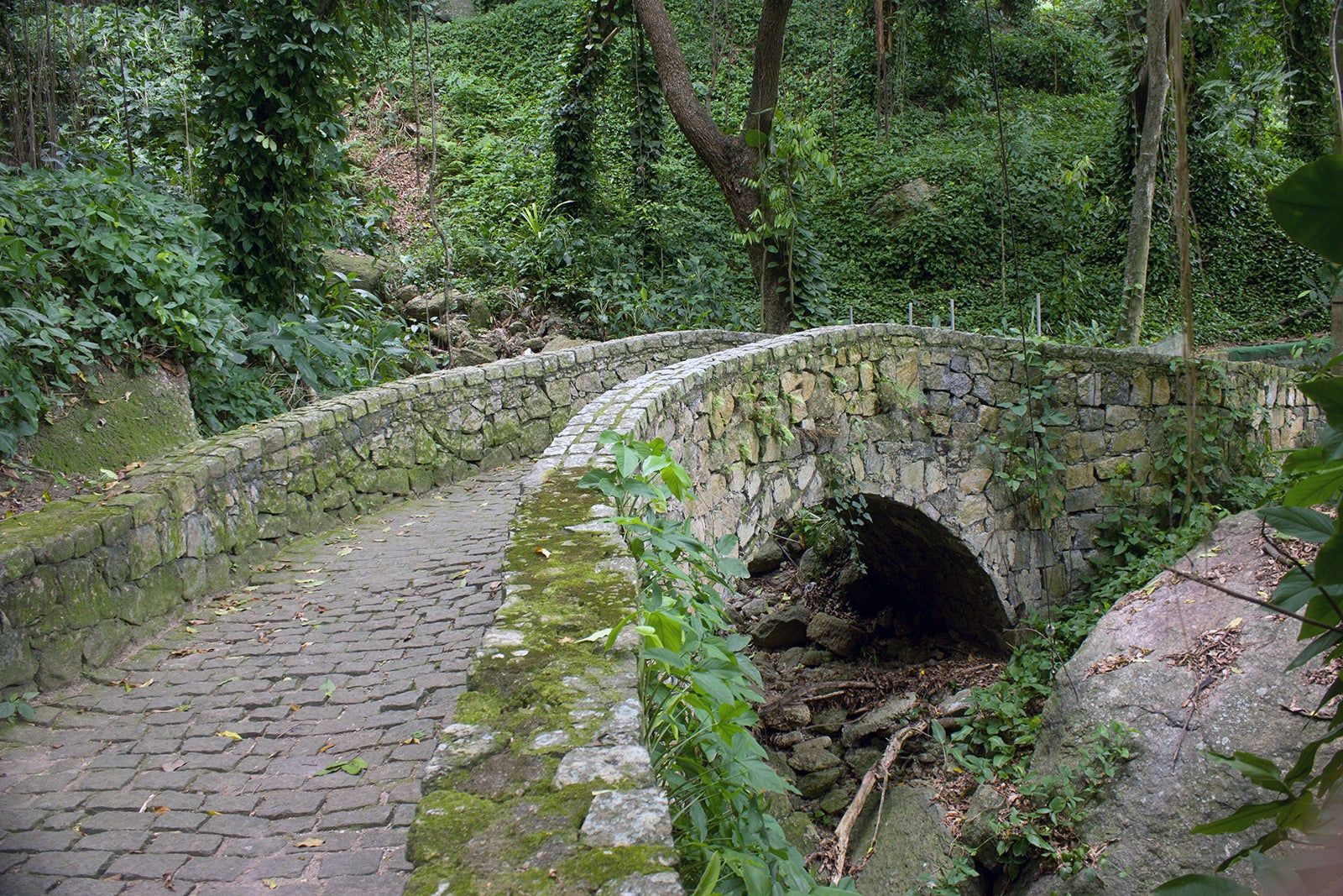 Parque da Catacumba no Rio de Janeiro