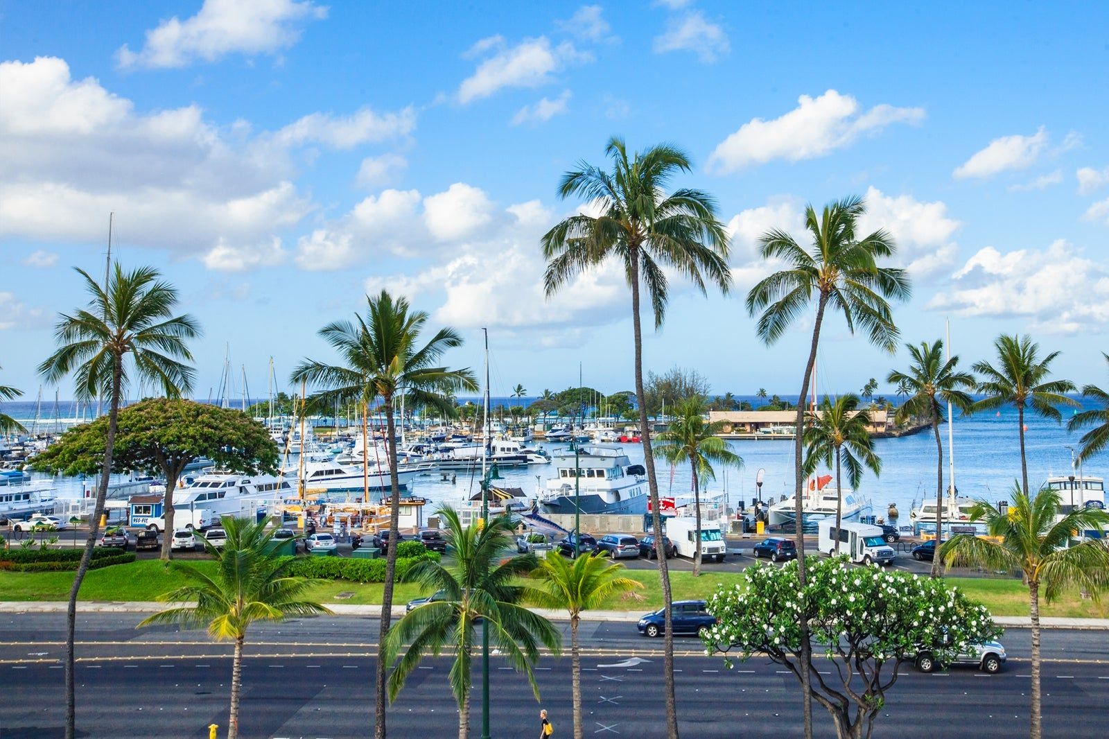 Kaka’ako in Honolulu